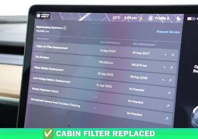 2019 Tesla Model 3 PERFORMANCE