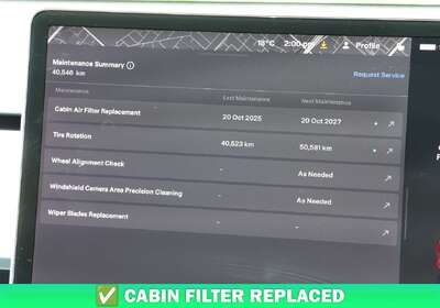 2022 Tesla Model 3 Rear-Wheel Drive