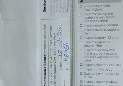 2024 Toyota Kluger GXL HYBRID AWD