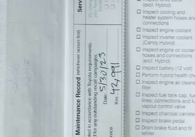 2019 Toyota Camry ASCENT